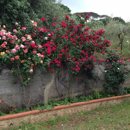 Santa Lucia 펜션 *