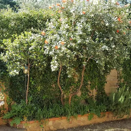 Santa Lucia 체팔루